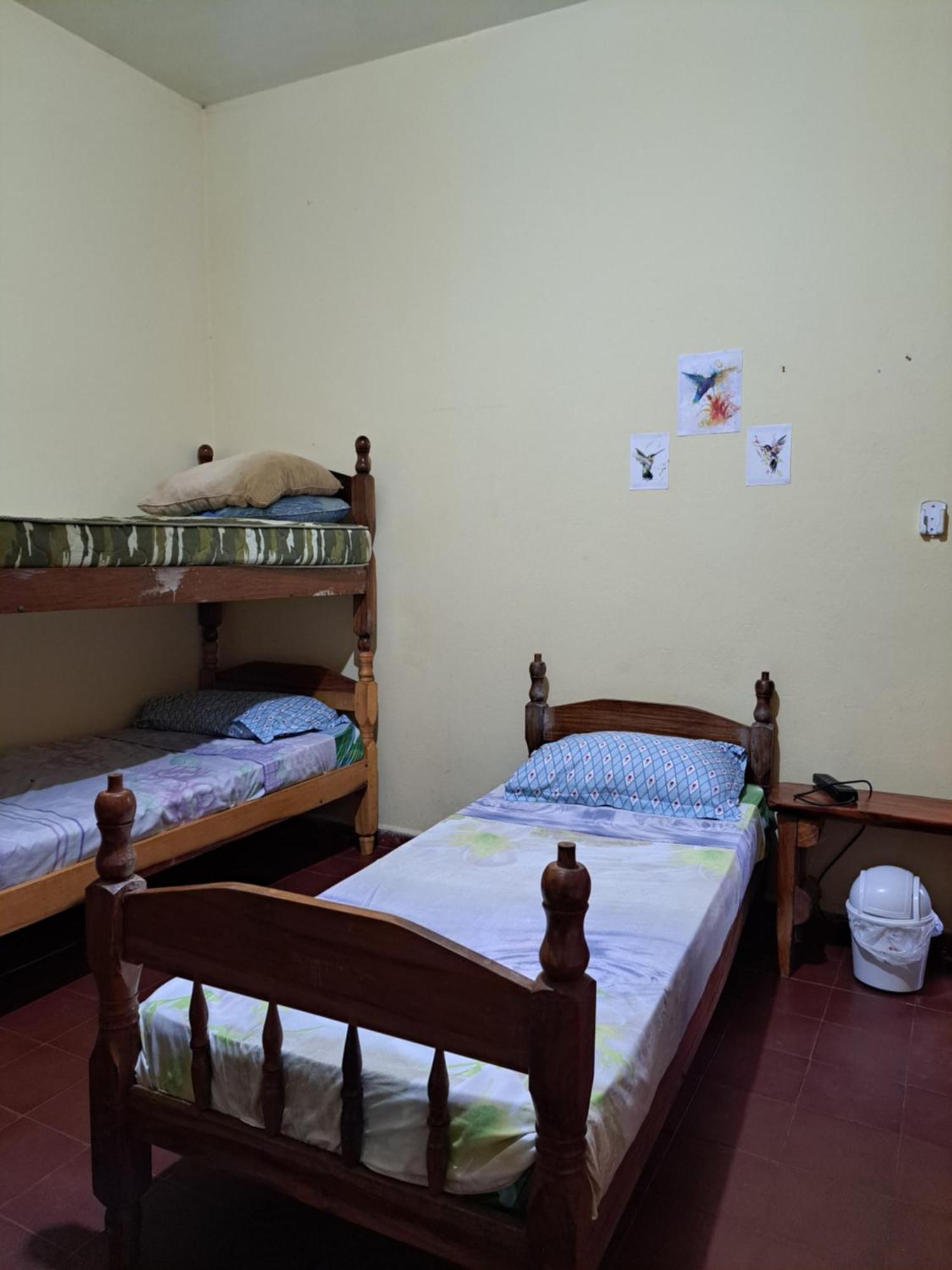 Hummingbird Hostel Ciudad del Este Zewnętrze zdjęcie