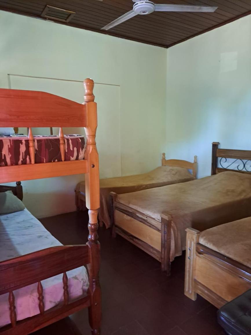 Hummingbird Hostel Ciudad del Este Zewnętrze zdjęcie